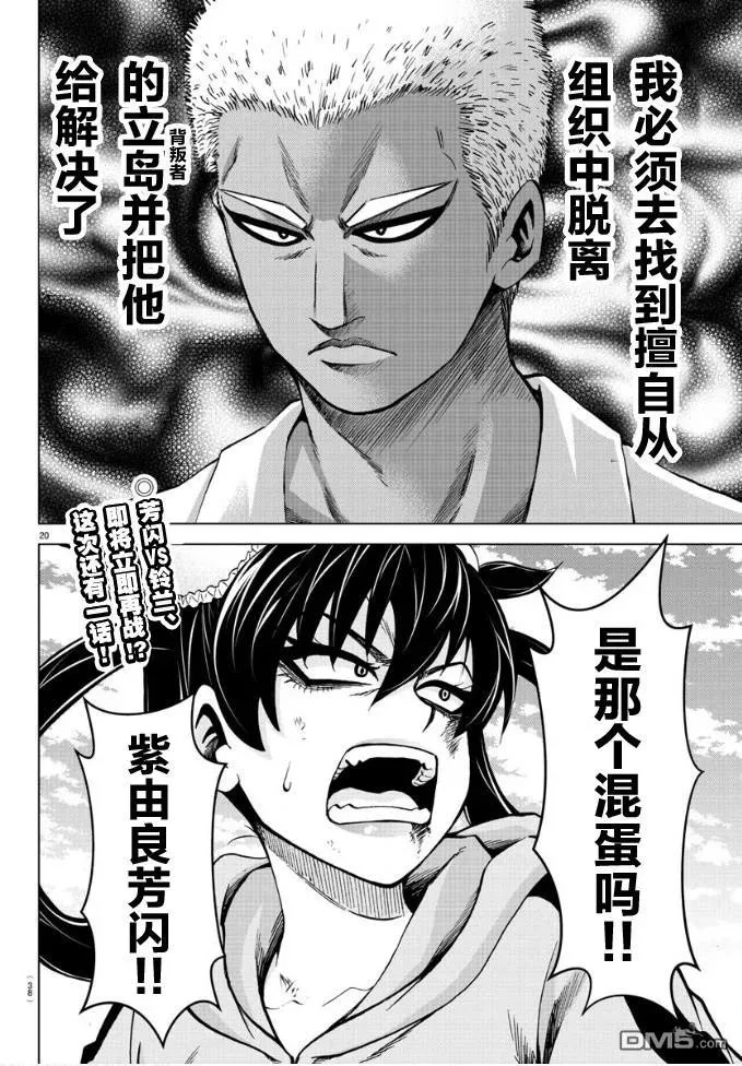 第20页