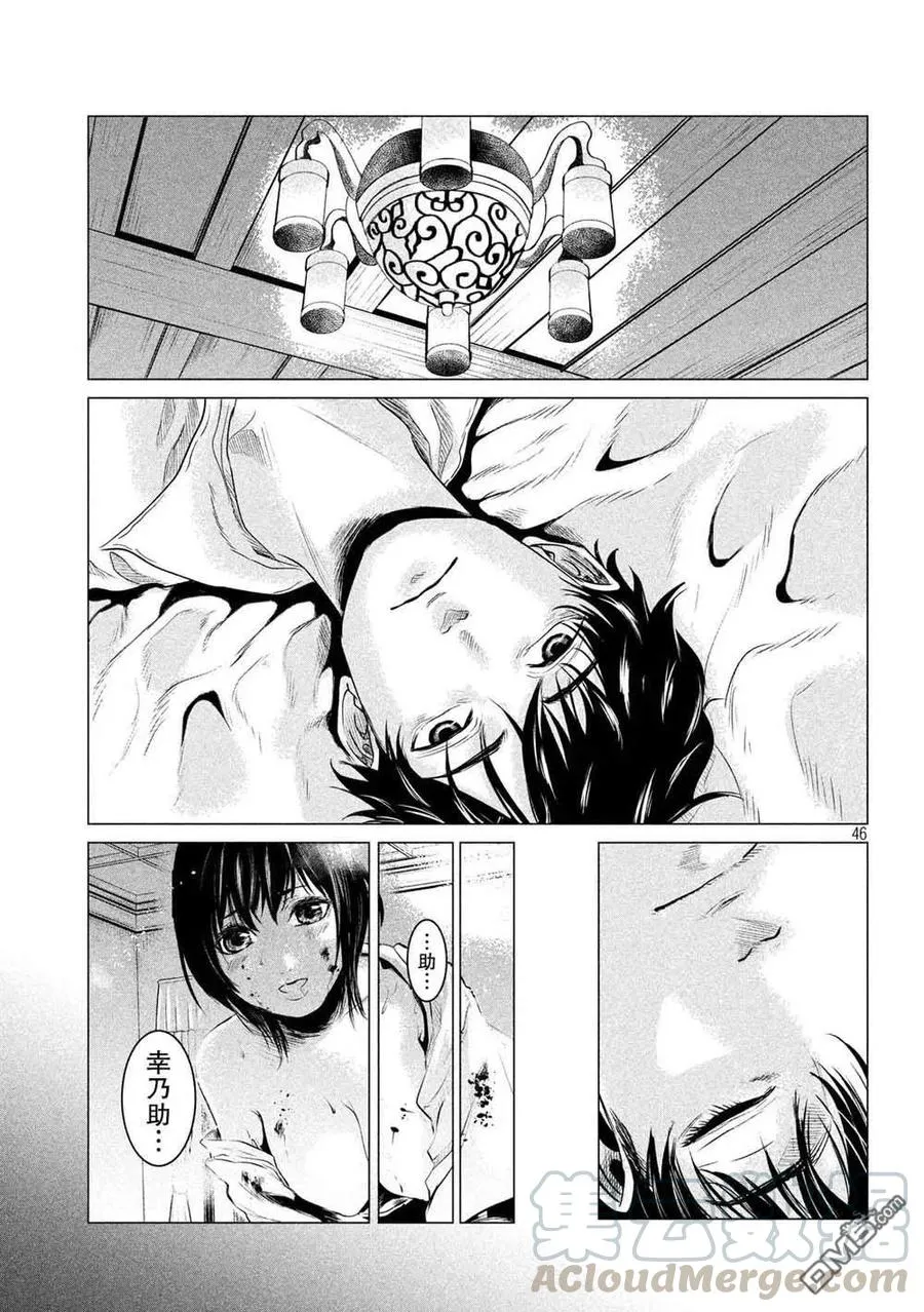 第43页