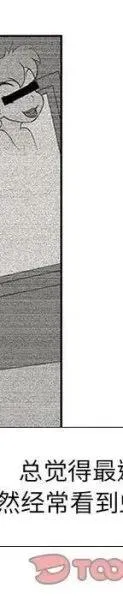 第194页