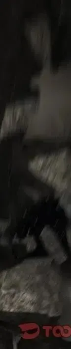 第519页