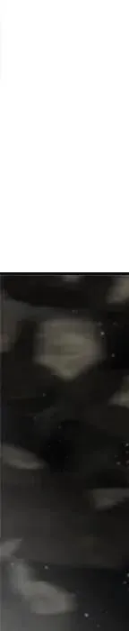 第486页