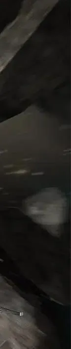 第455页