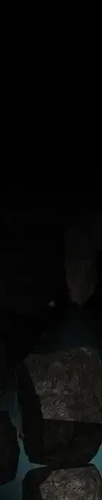 第335页