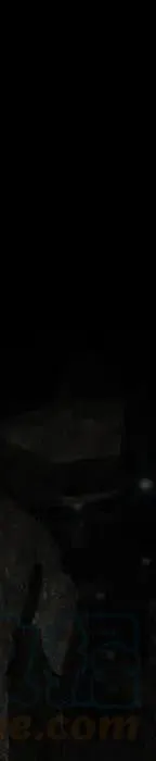 第333页