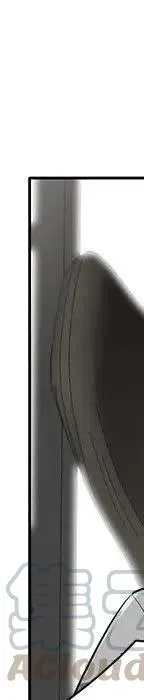 第241页