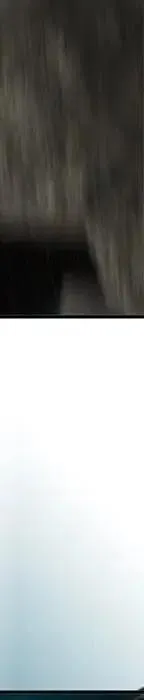 第520页
