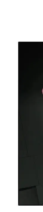 第236页