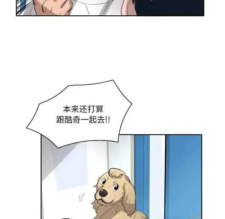 第66页