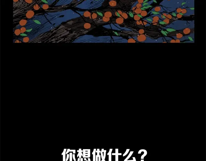 第255页