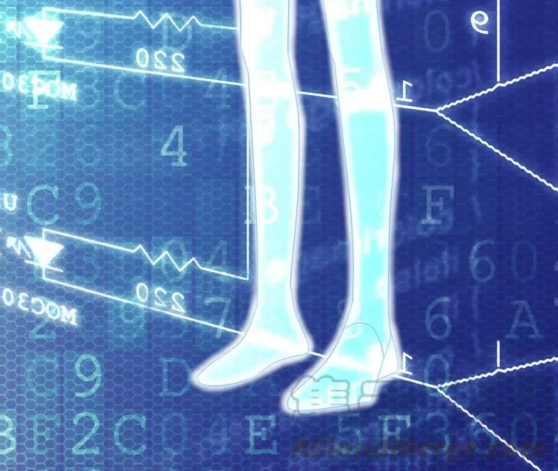 第46页