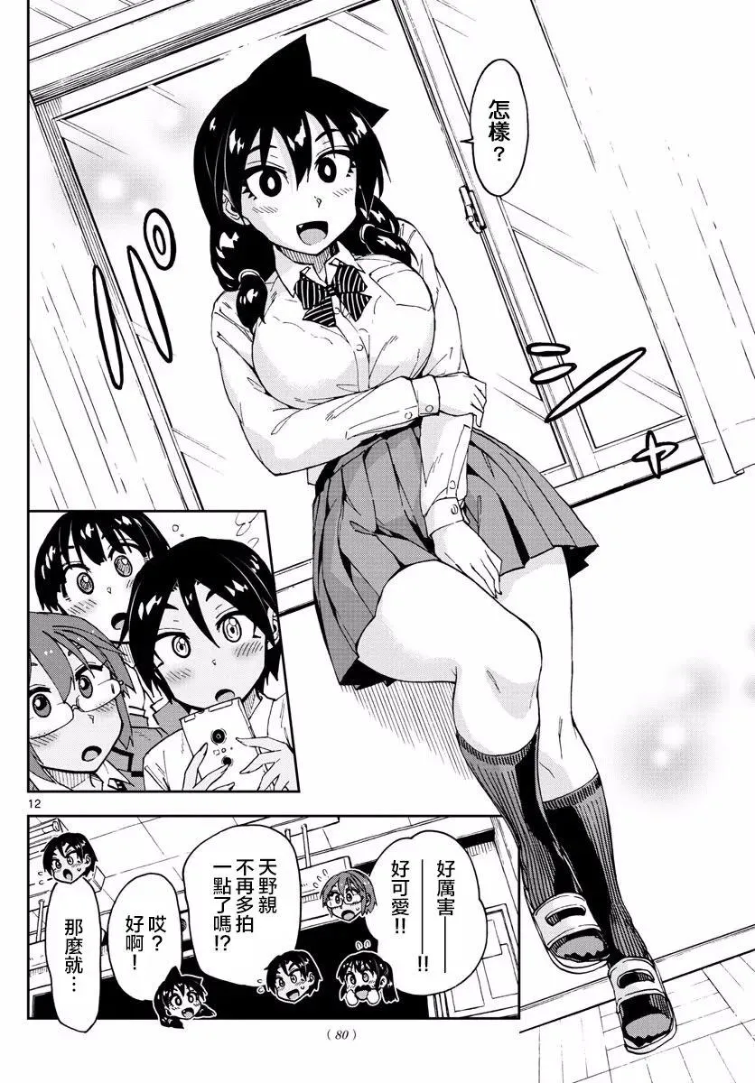 第12页