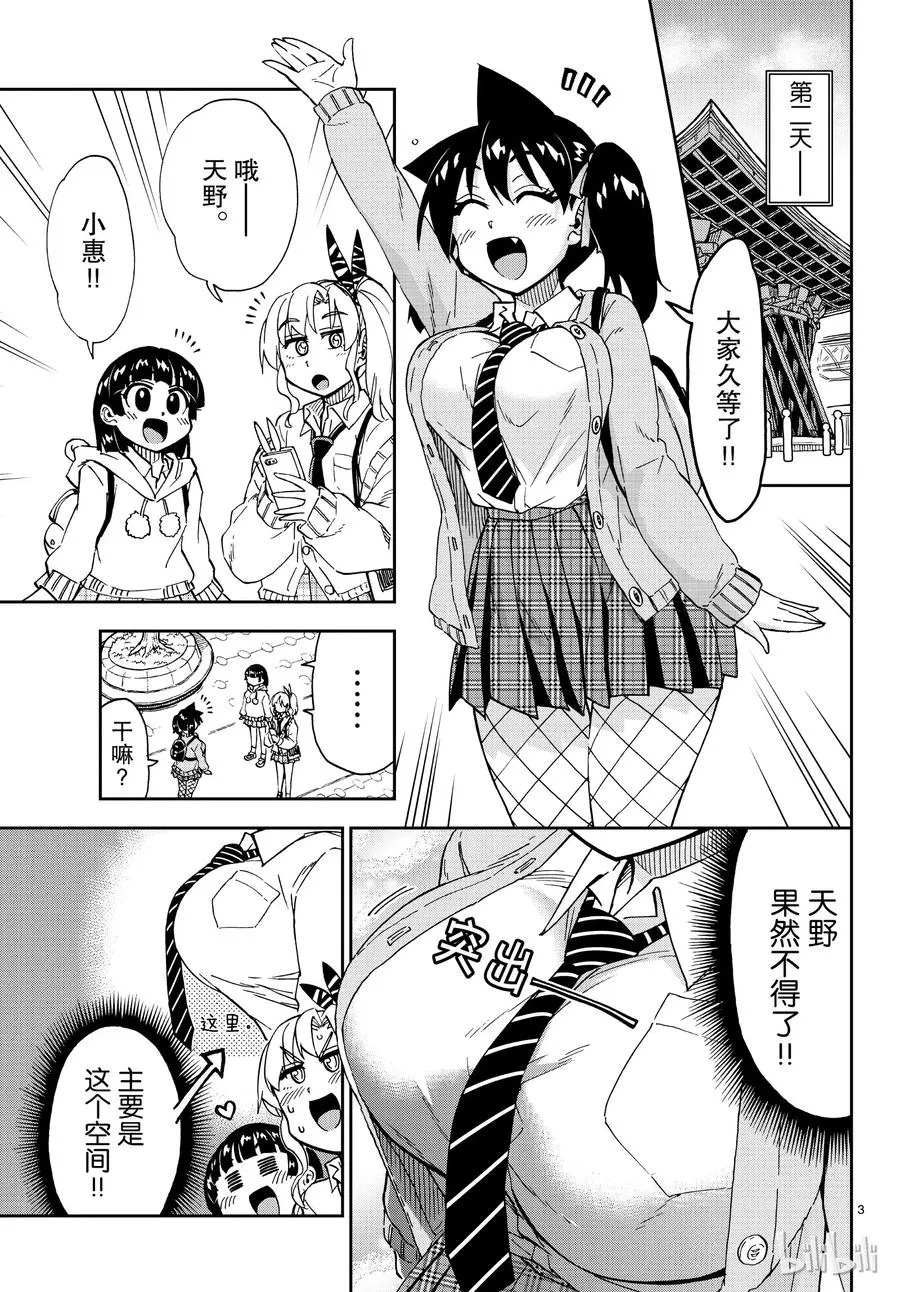 第3页