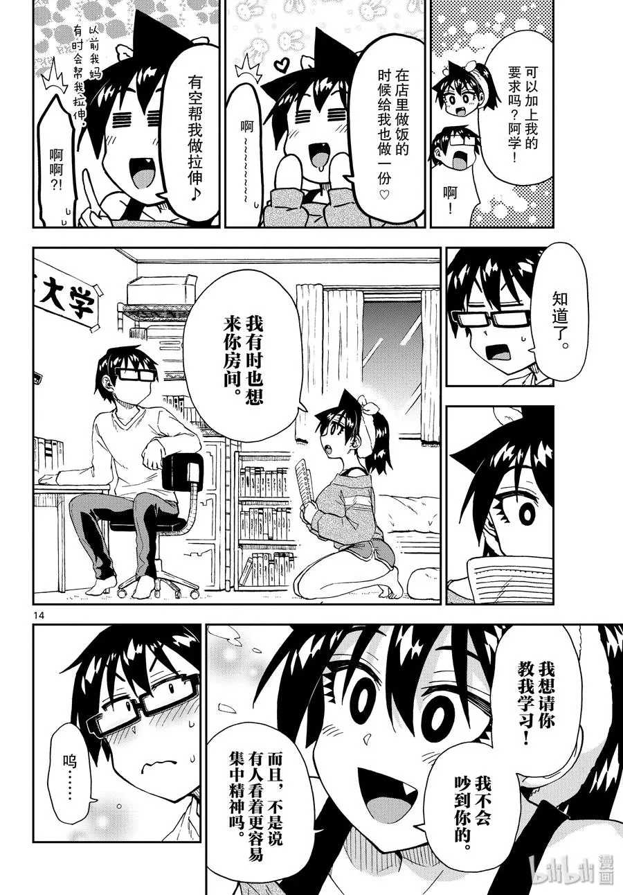 第14页