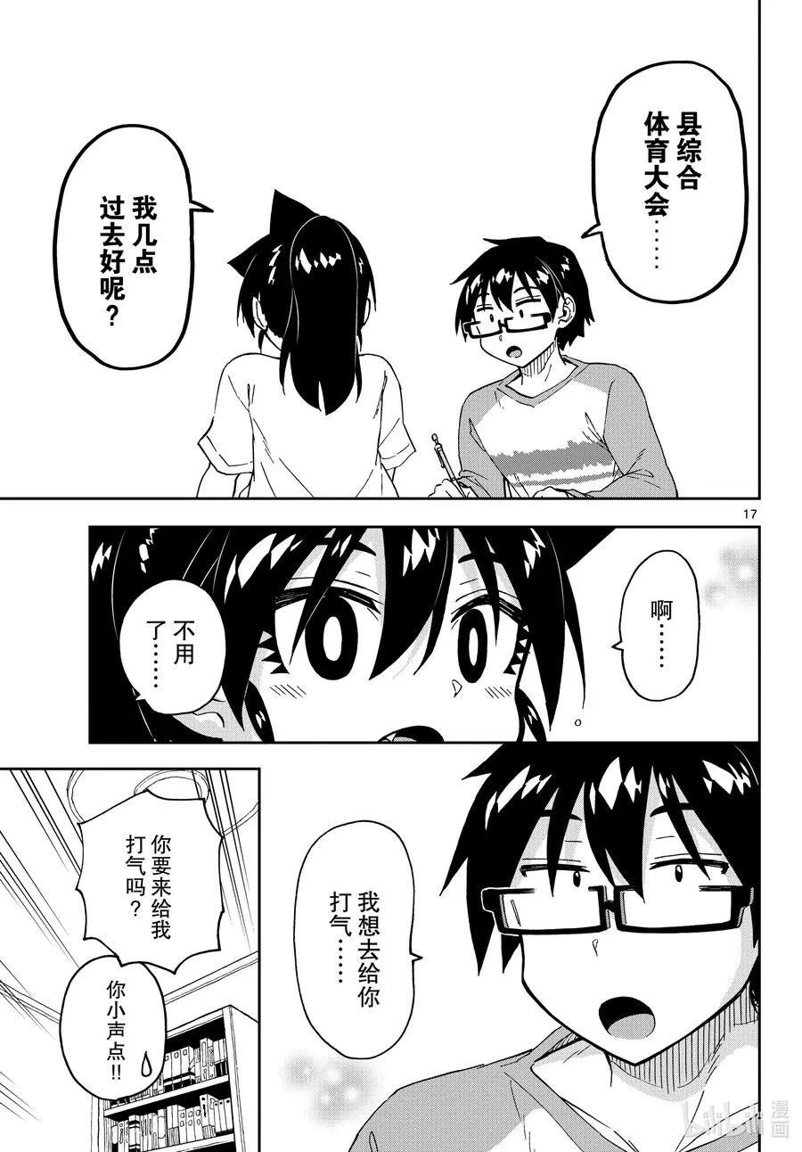 第17页