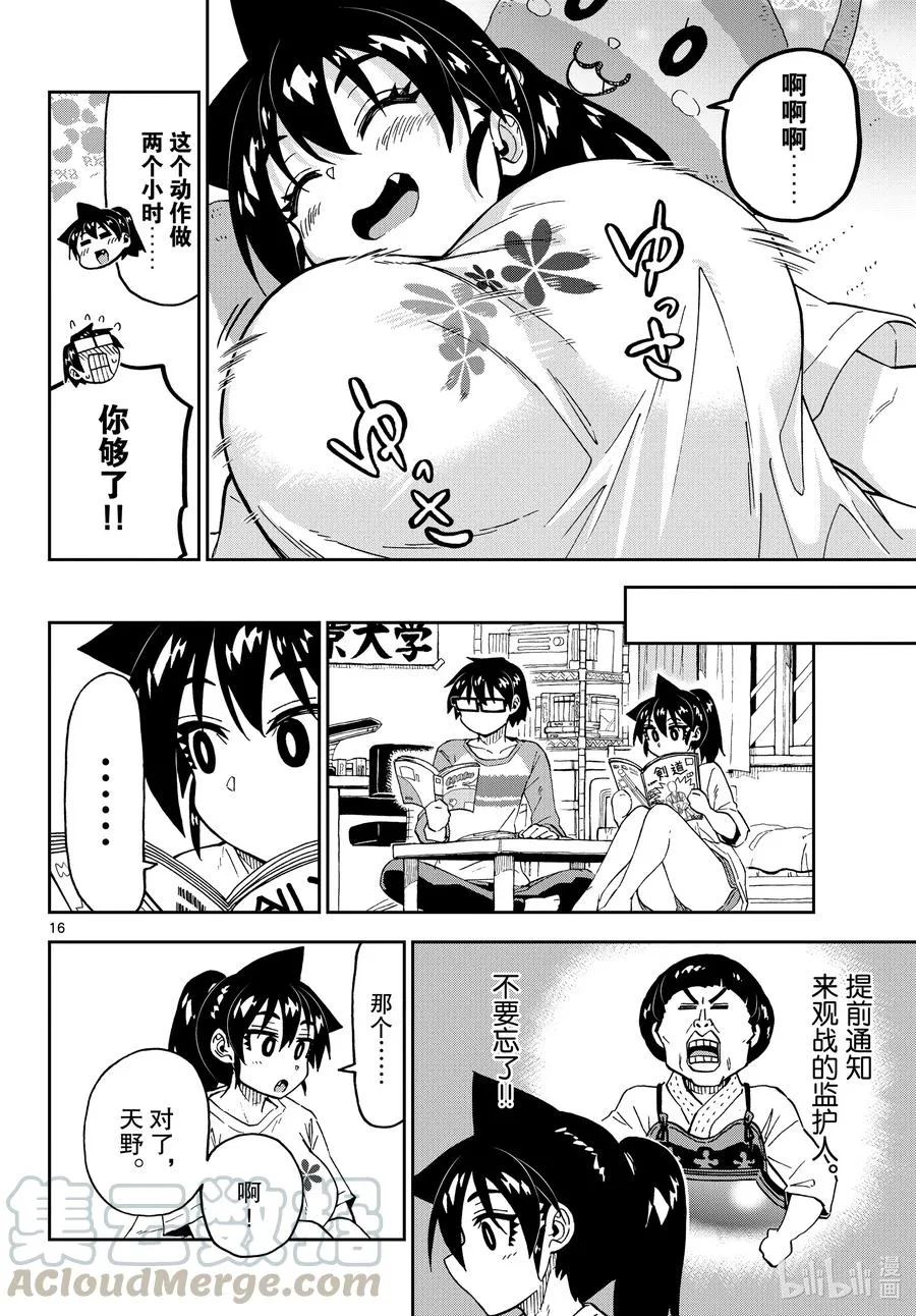 第16页