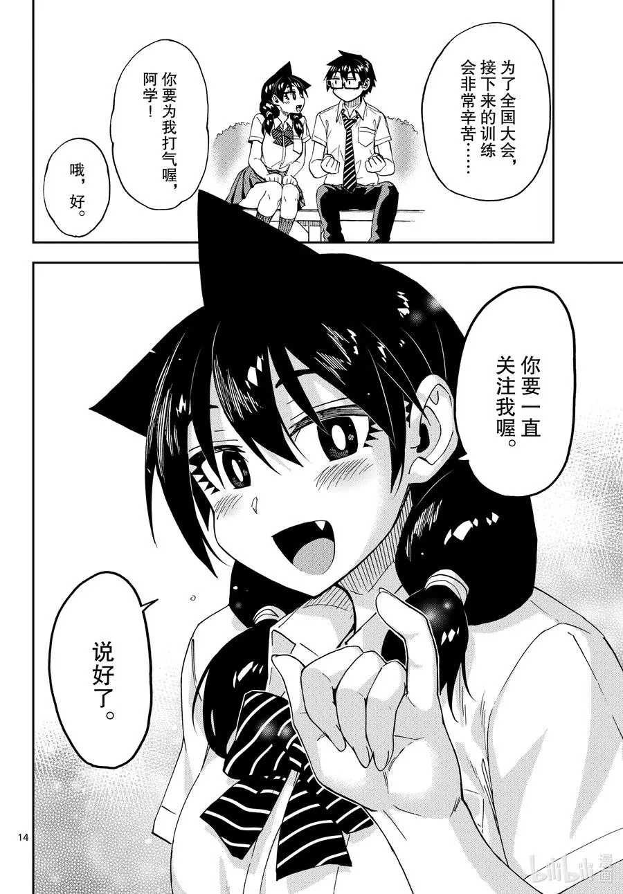第14页
