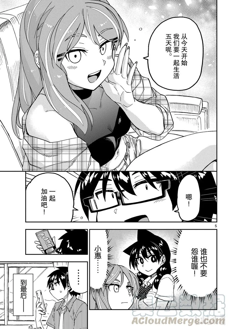 第5页