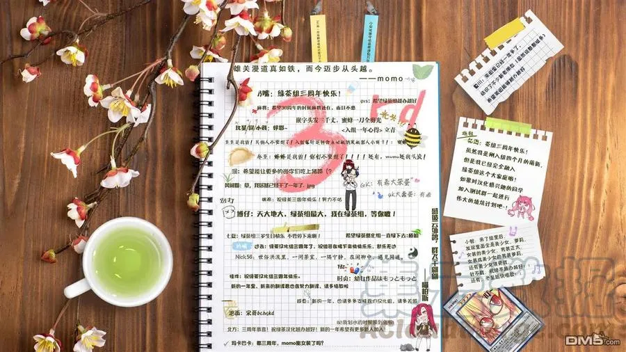 第17页