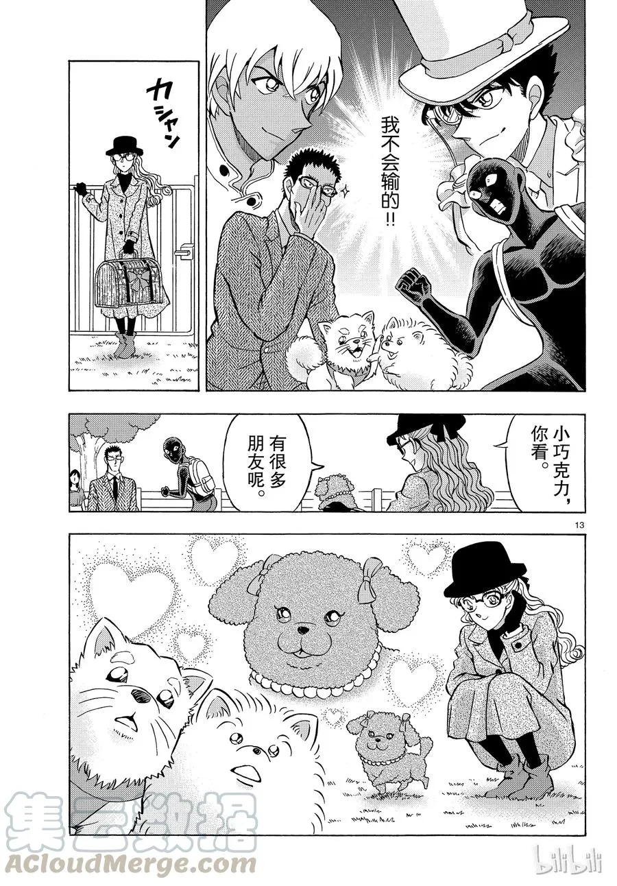 第13页