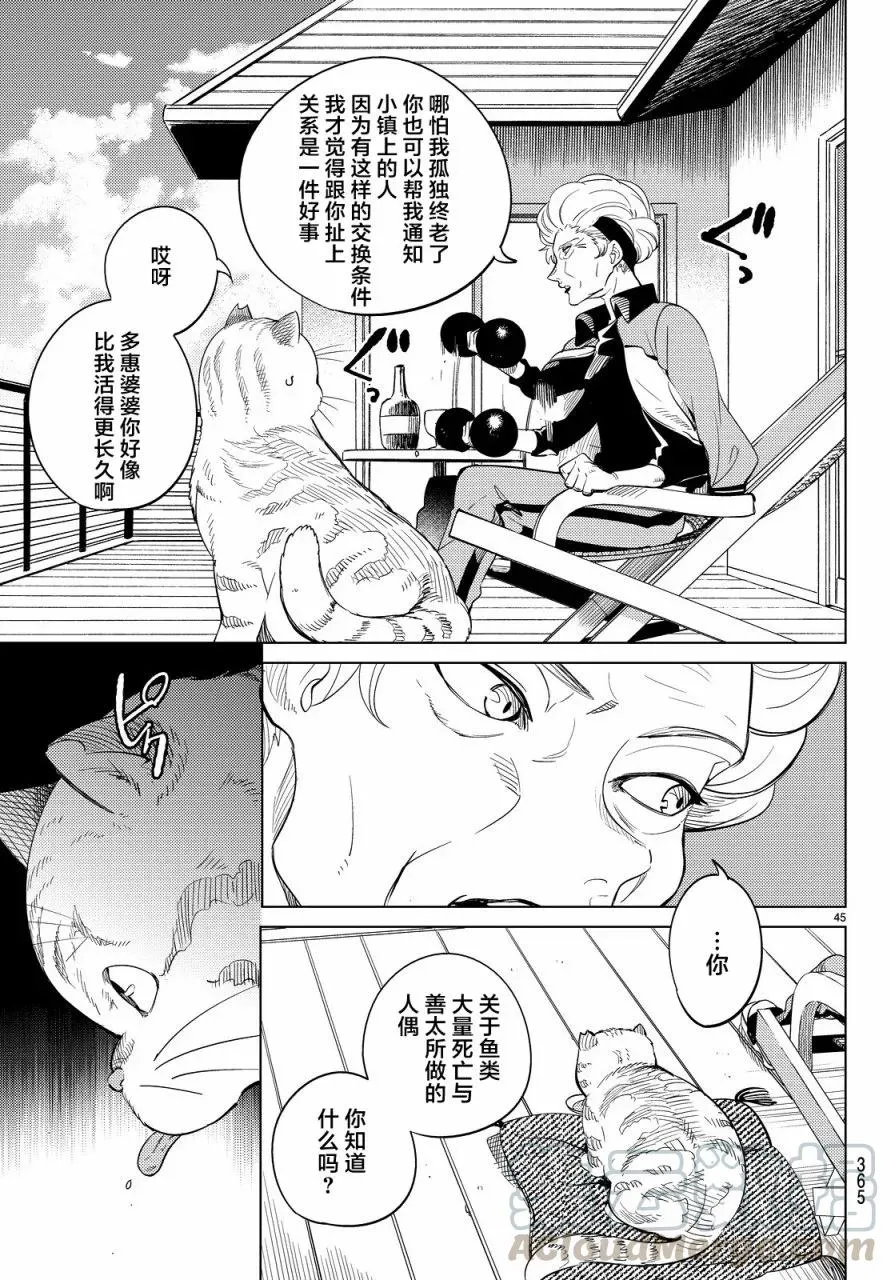 第45页
