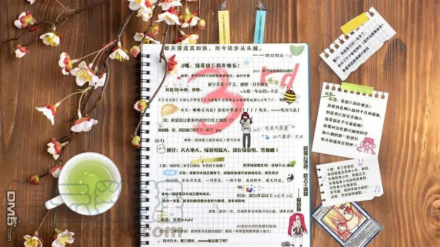 第17页