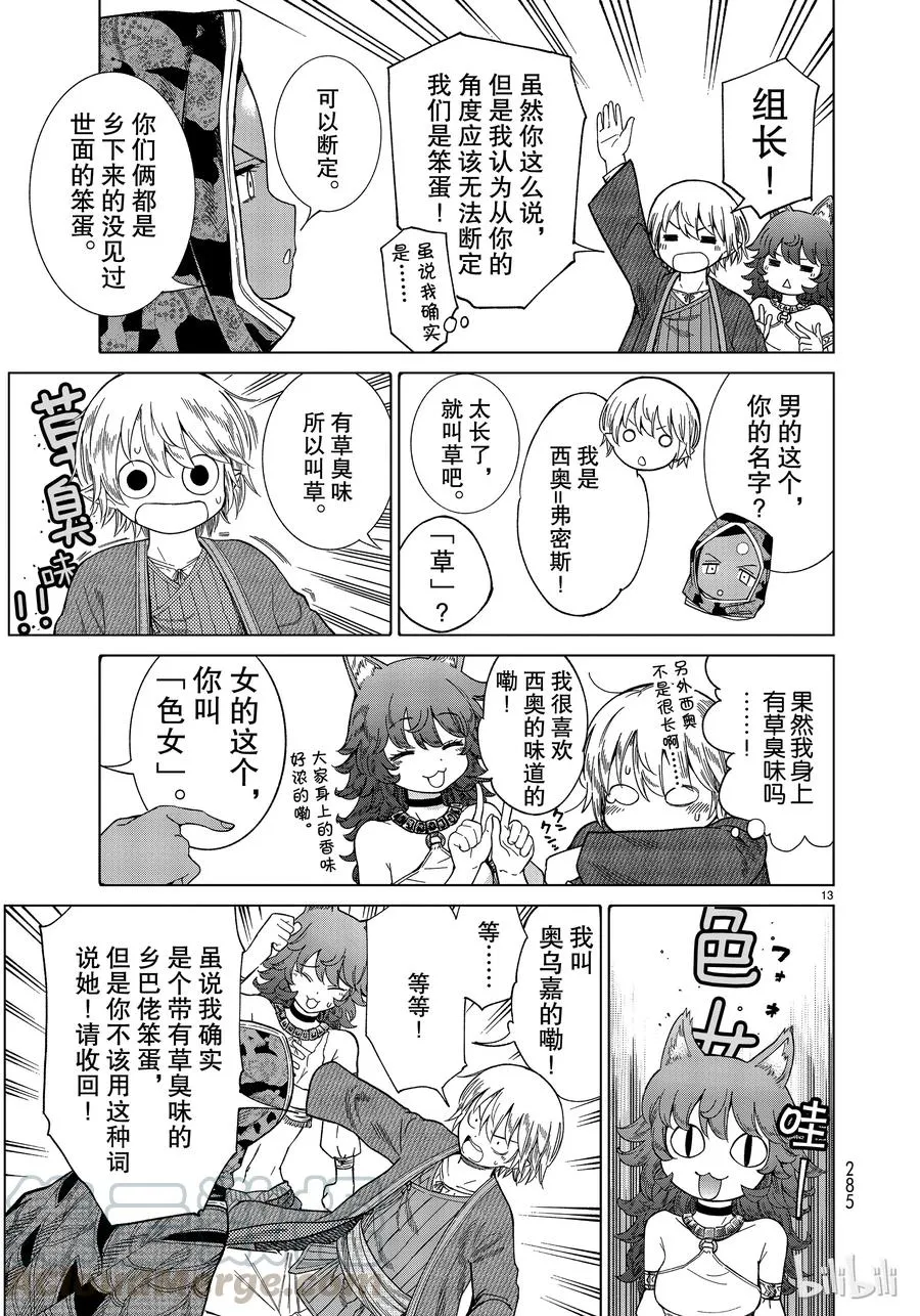 第13页