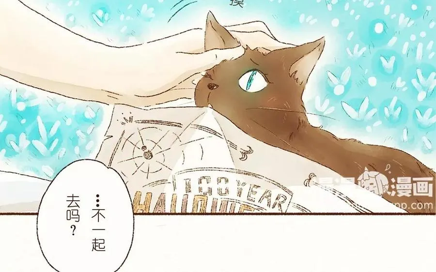 第51页