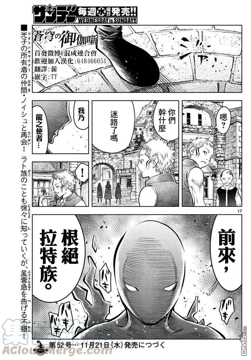 第17页
