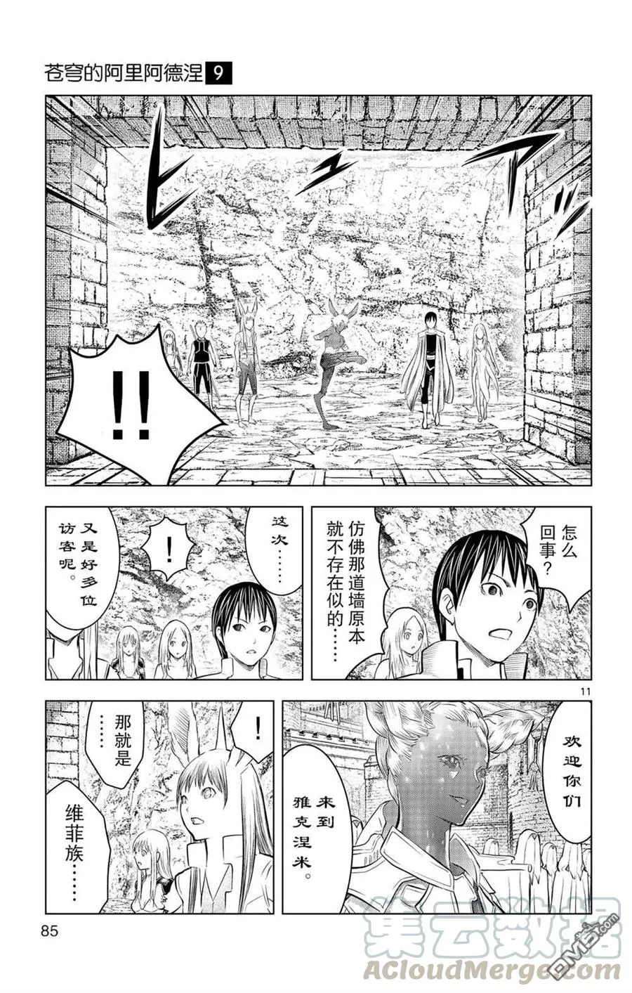 第11页