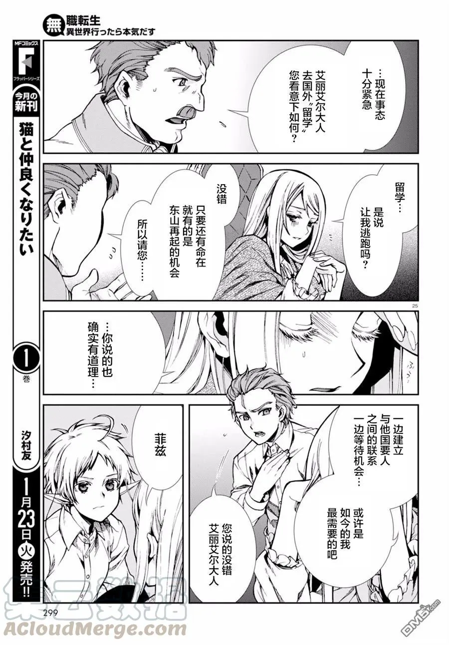 第25页