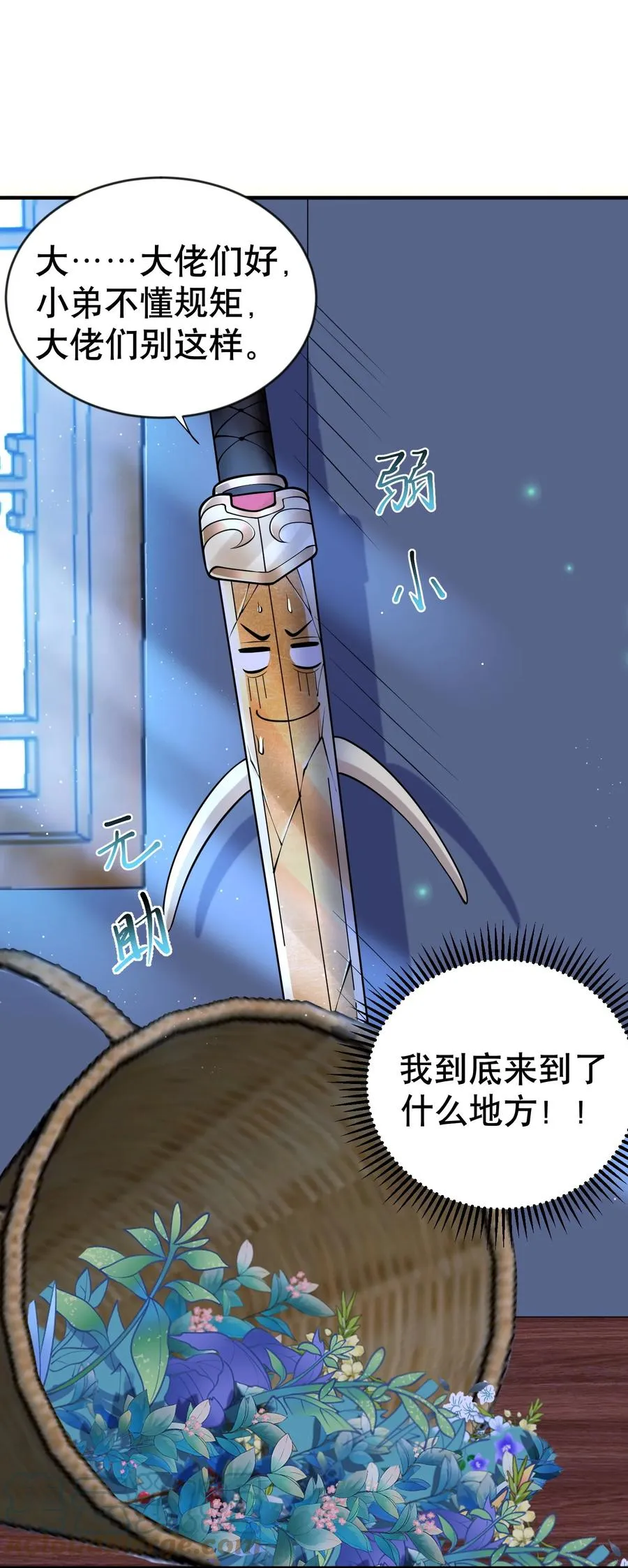 第43页