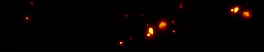第102页