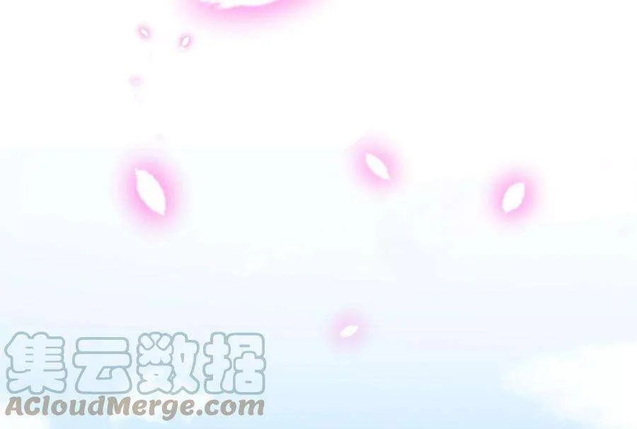 第241页