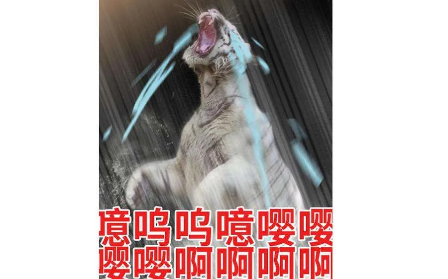 第84页