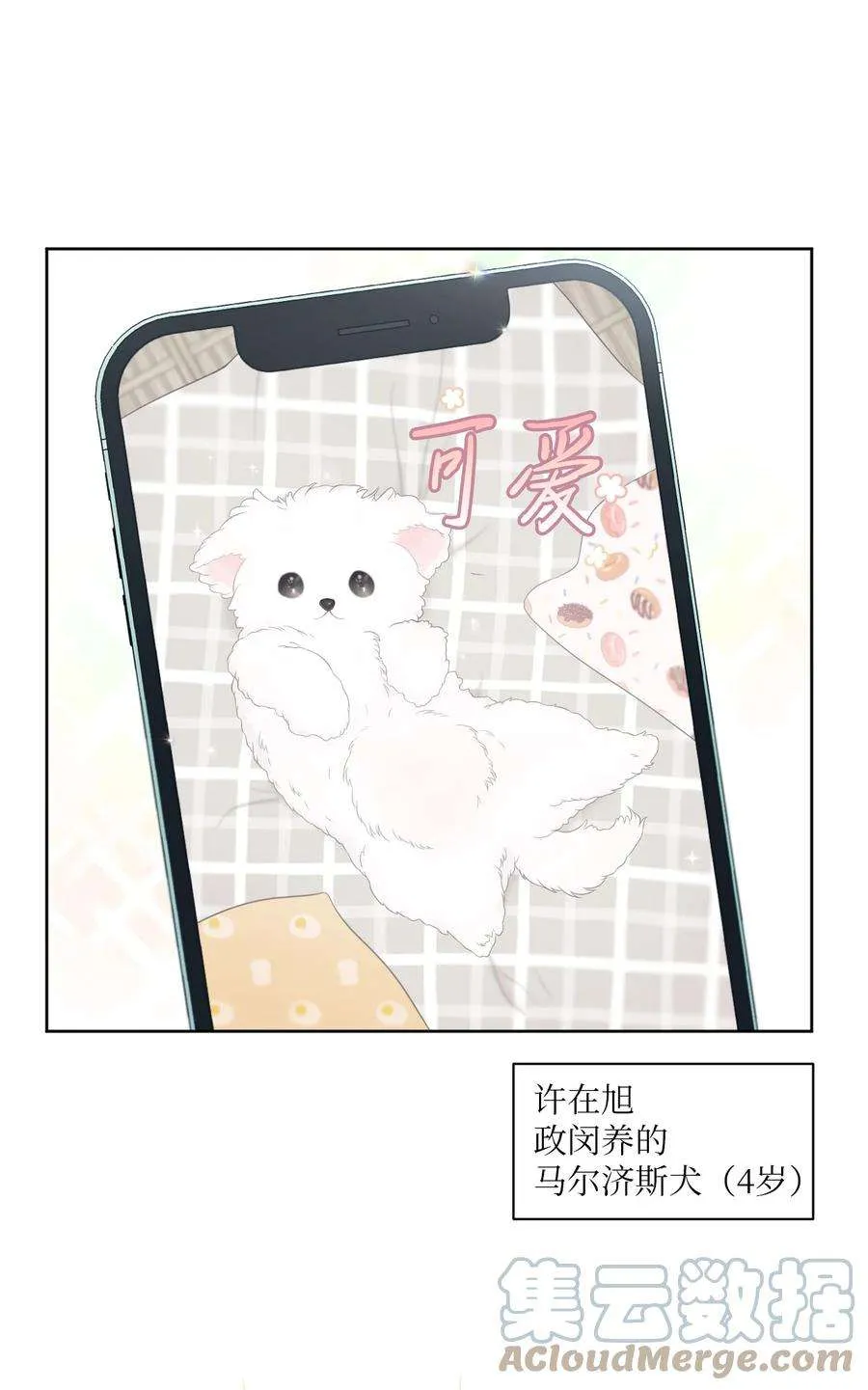 第49页