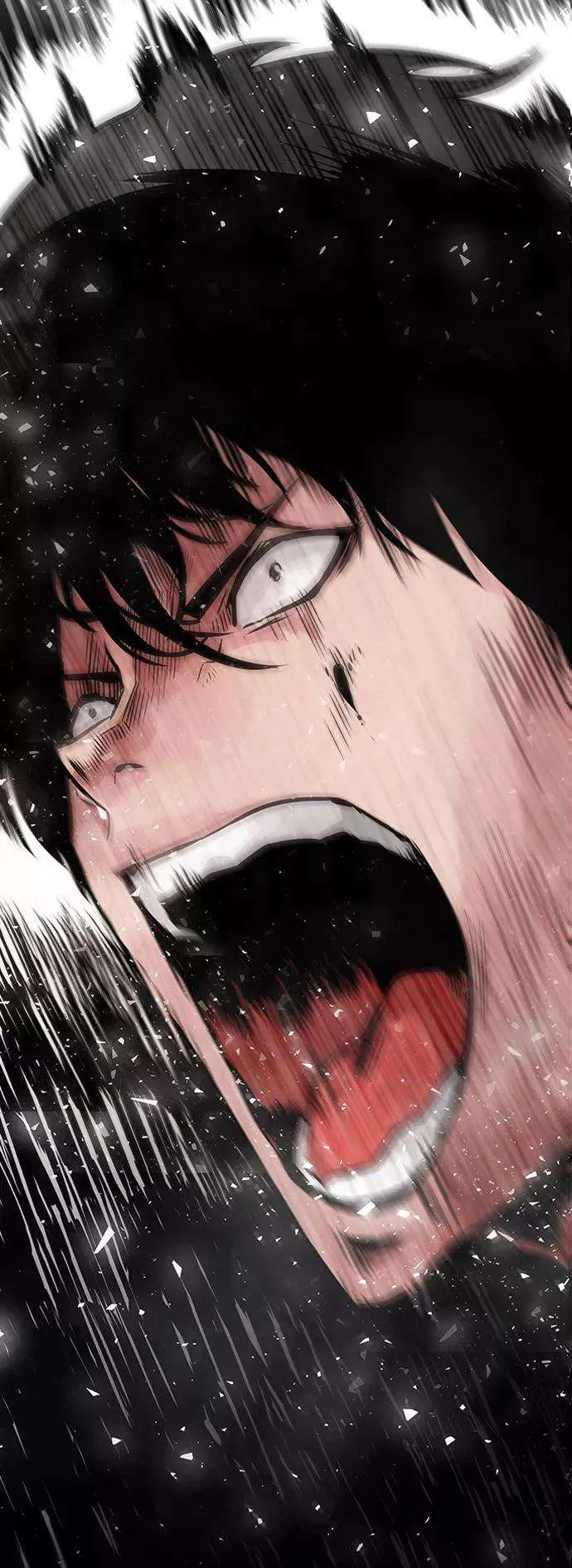 第195页