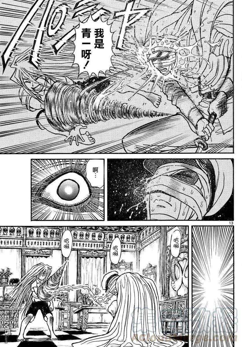 第13页