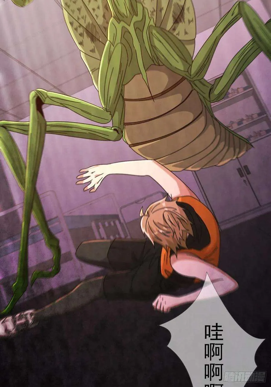 第35页