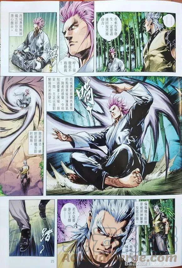第25页