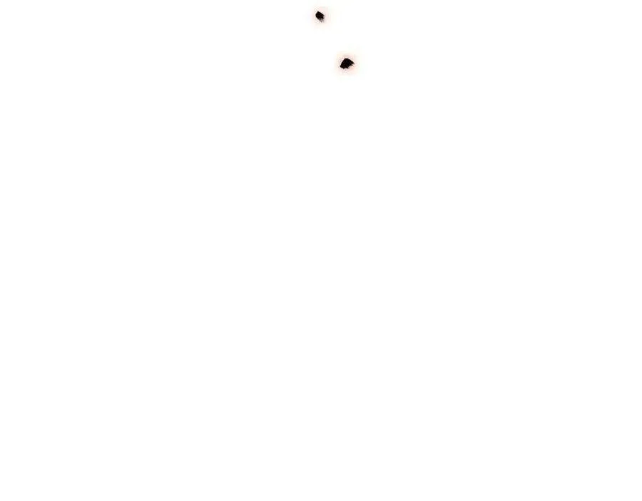 第184页