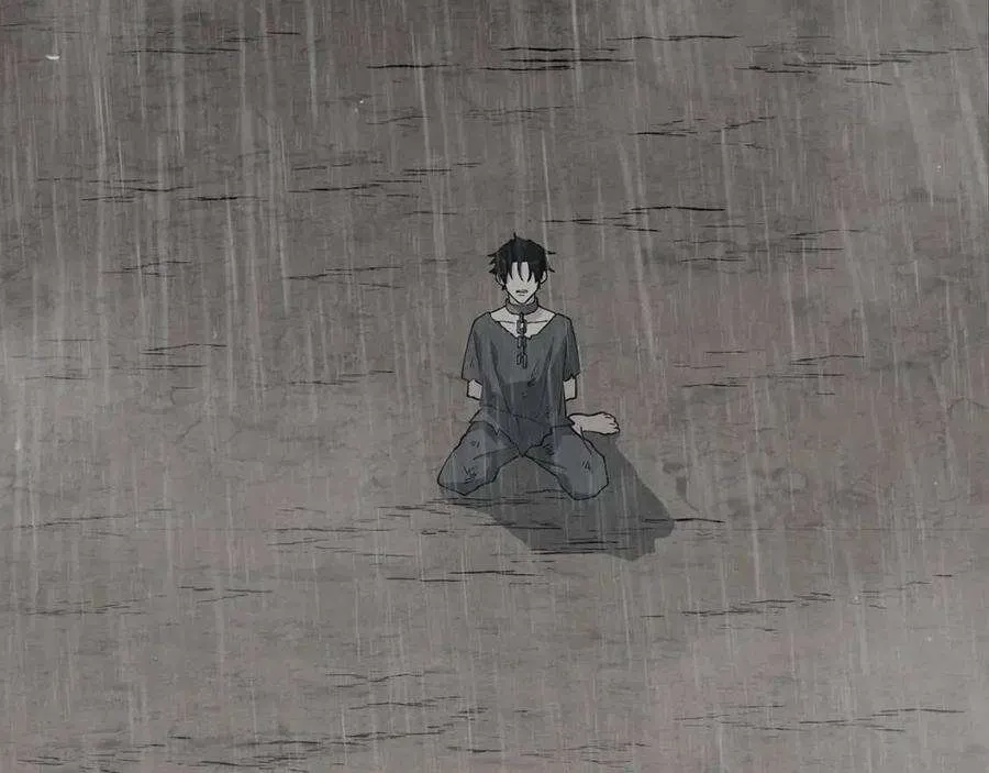 第231页