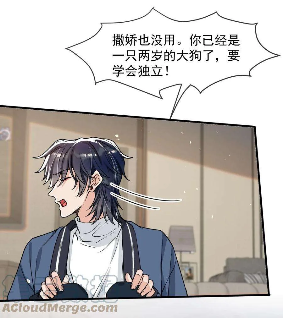 第43页