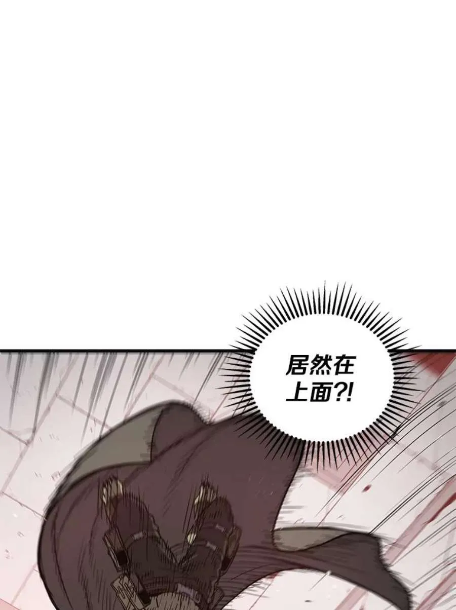 第231页