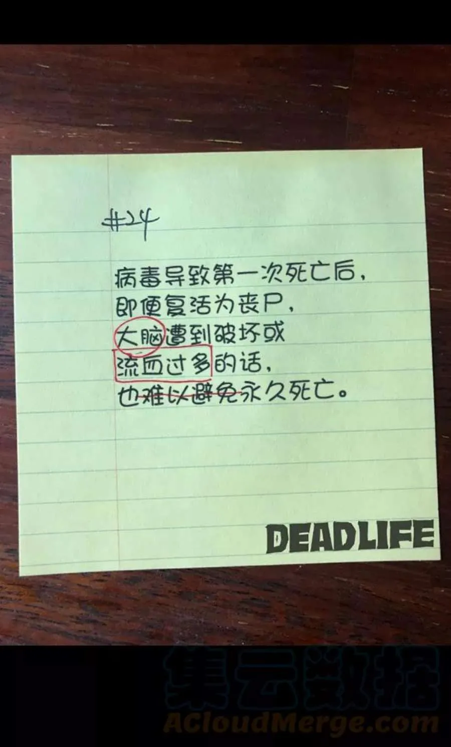 第194页