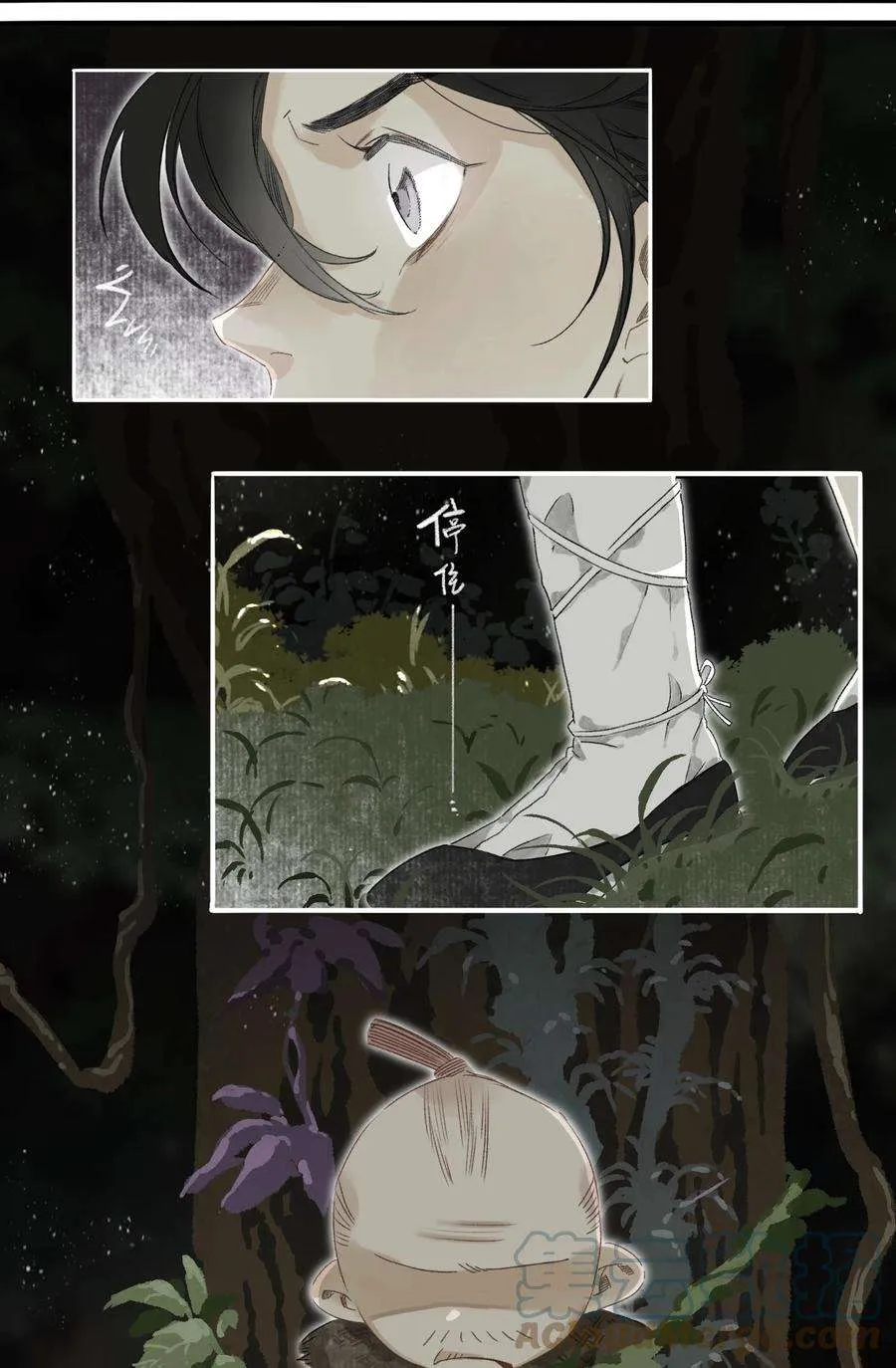 第31页
