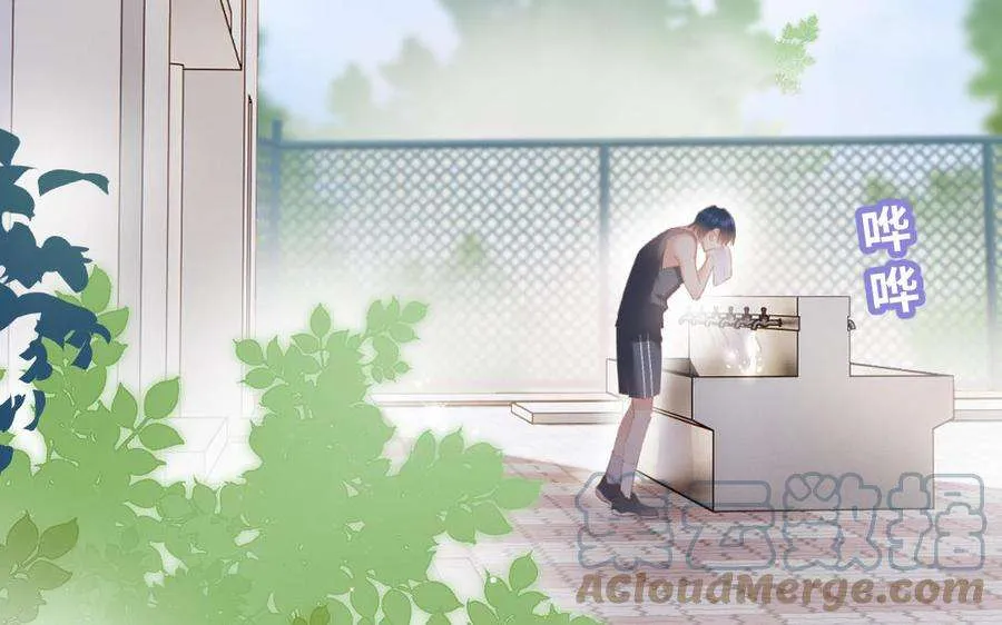 第117页