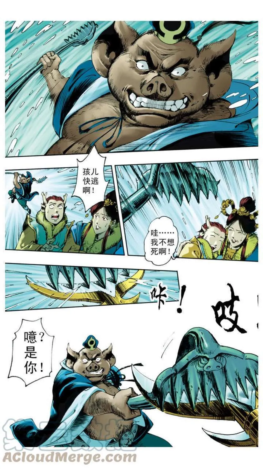 第5页