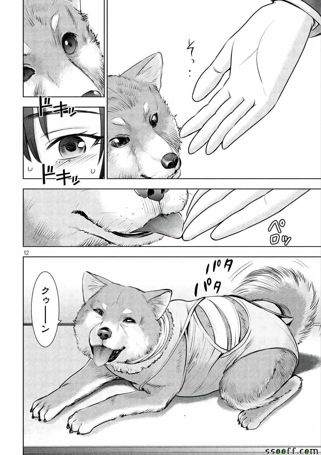 第12页