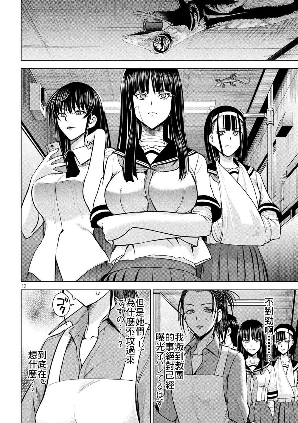 第12页