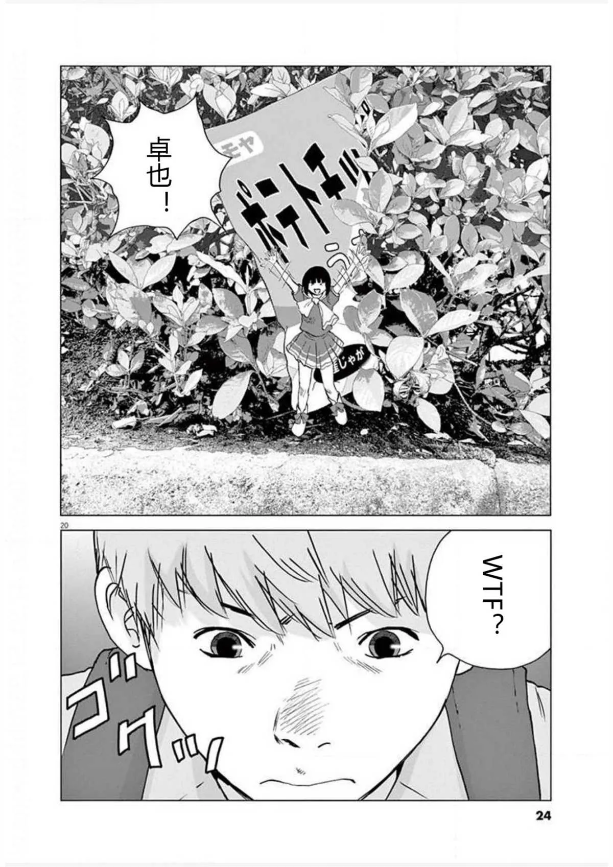 第20页